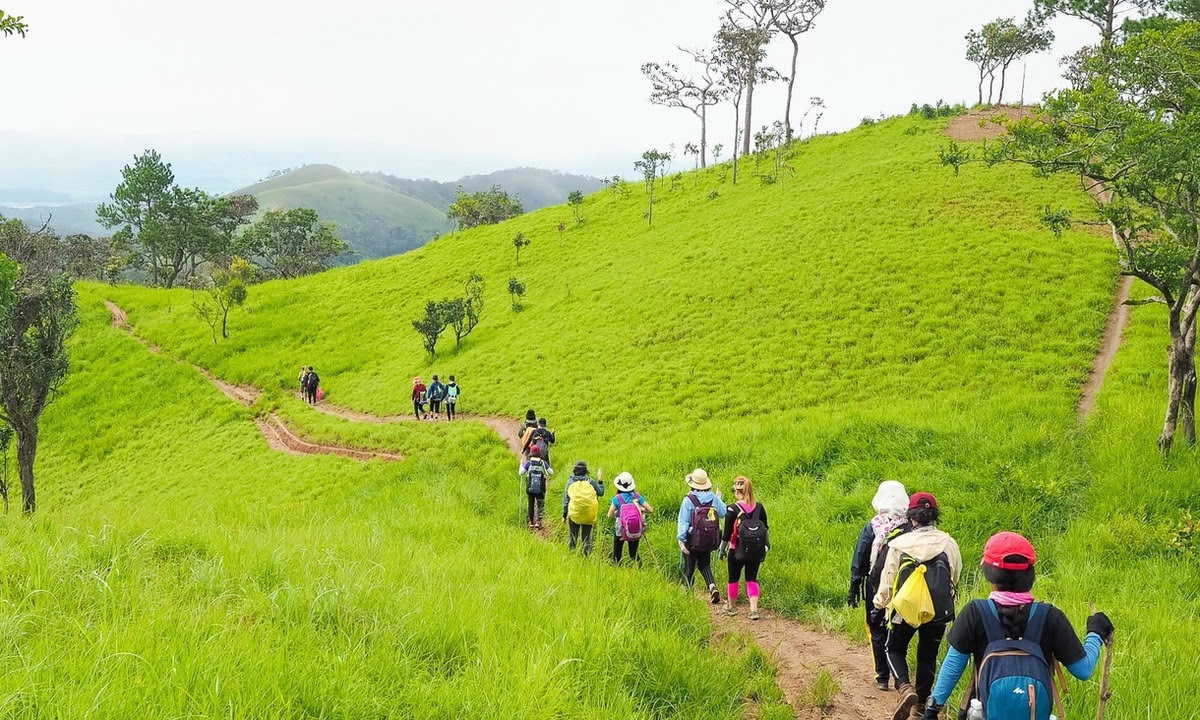 Trekking